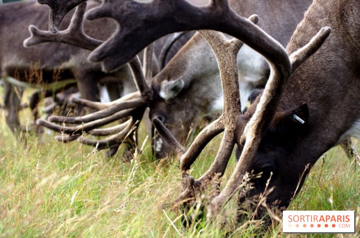 Climat Environnement Arctique fonte permafrost