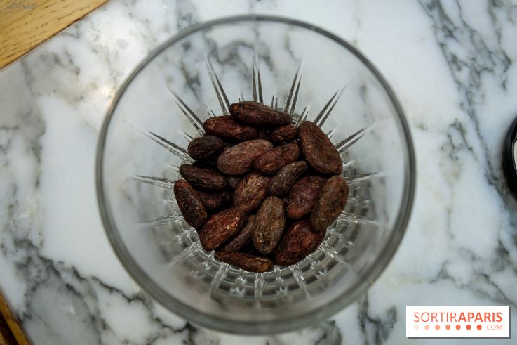 Néogourmets lance sa nouvelle gamme de chocolats avec le chef Thierry Marx