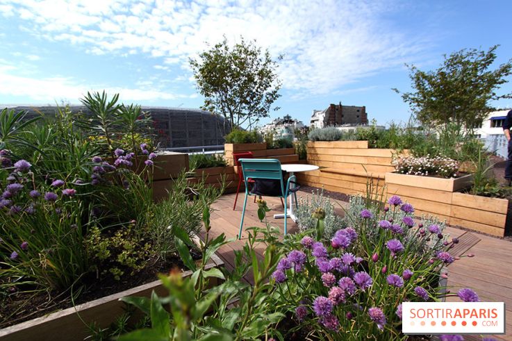 Molitor : terrasse rooftop, jardins