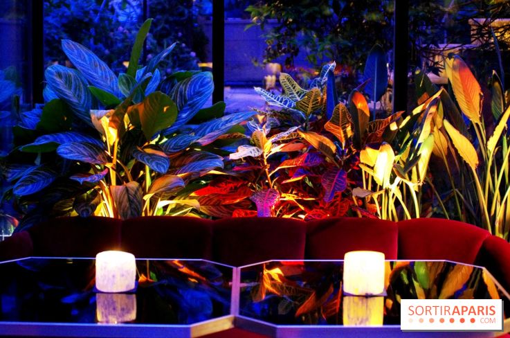 Le Très Particulier - la verrière