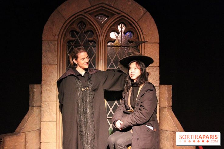 Exposition Harry Potter à Paris, Cité du Cinéma, Le Choixpeau magique