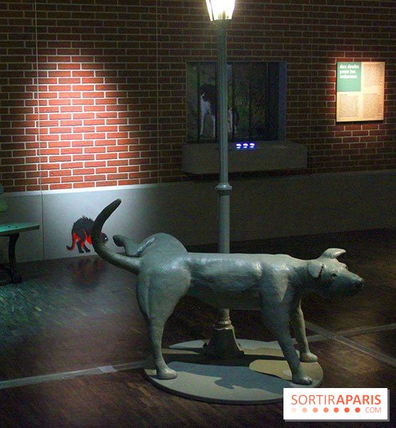 Exposition Chiens et Chats à la Cité des Sciences