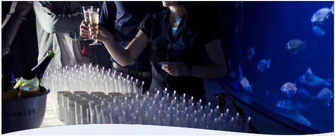 Les Nocturnes à l'Aquarium de Paris 