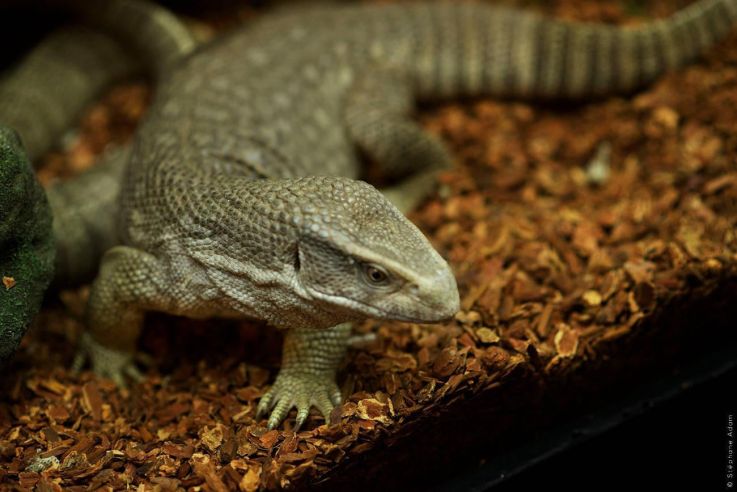 Le 1K, sur le chemin des Incas au cœur de Paris