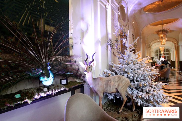 Noël au Trianon palace avec Deyrolle