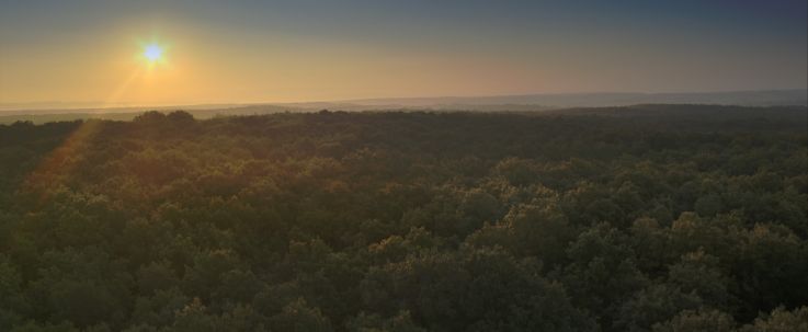 Les Saisons : critique et jeu concours