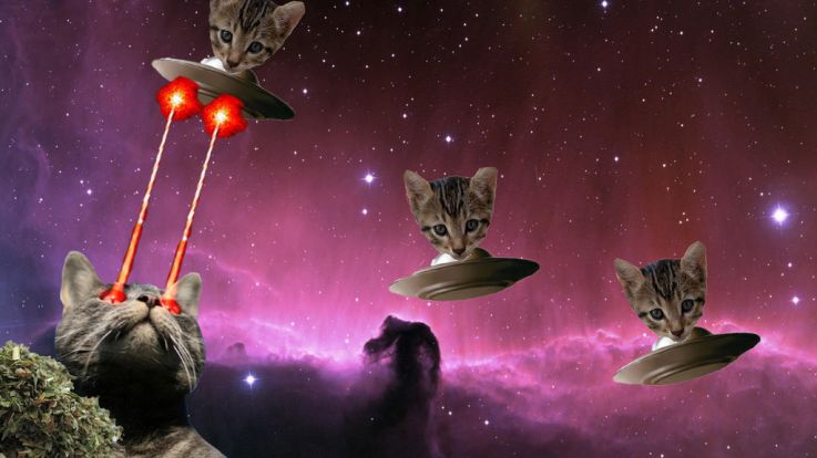 Cadeaux de Noël 2016 pour animaux : un laser automatique