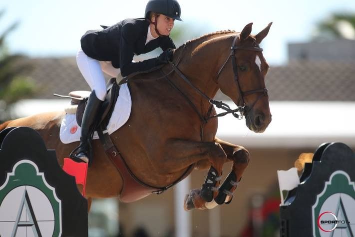 Le Jumping International de Chantilly revient en 2016 !