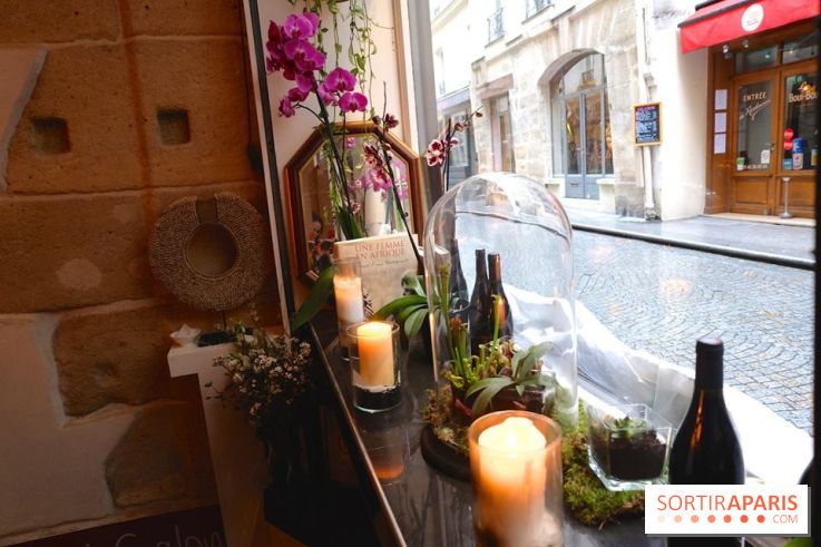 LSD : Les Souris Dansent