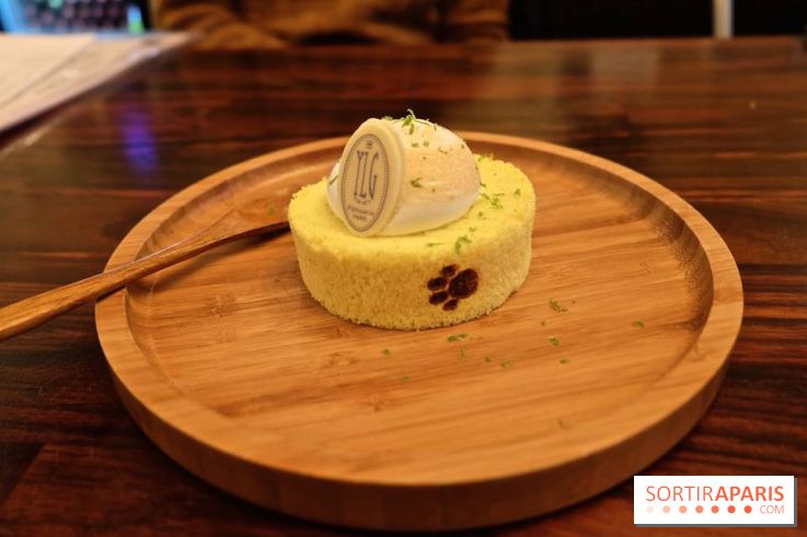 LSD : Les Souris Dansent