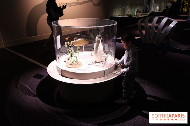 Exposition BéBés animaux à la Cité des Sciences, les photos