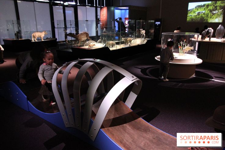 Exposition BéBés animaux à la Cité des Sciences, les photos