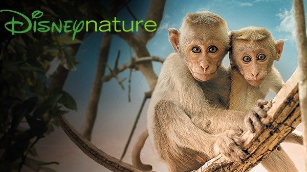 Au mois de juin, les ateliers Fnac kids sont riches en découvertes !