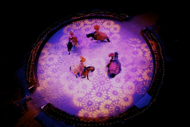 Peau d'Âne, le Spectacle de Noël de Chantilly