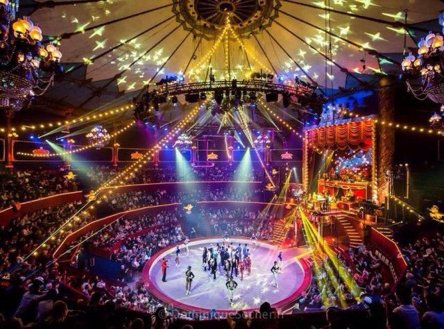 Surprise au Cirque d'Hiver, les photos