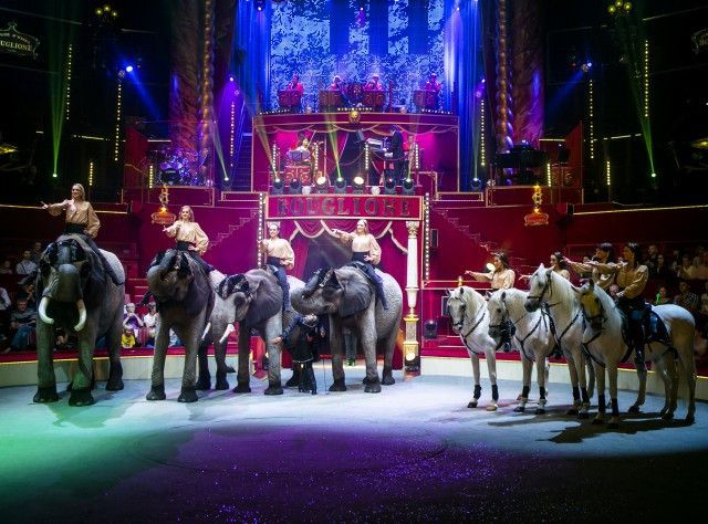 Surprise au Cirque d'Hiver, les photos