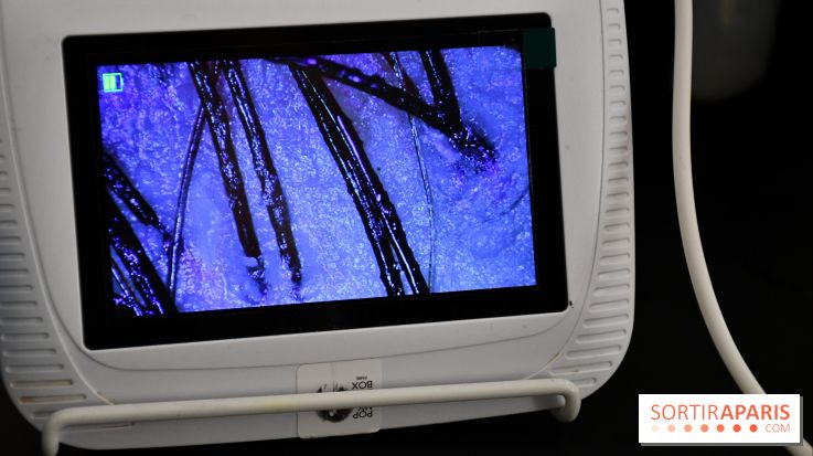 Le Head-Spa by Pop my curls, un head-spa japonais adapté aux cheveux bouclés et locks près de Paris