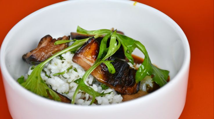 Plat/form, terrasse culturelle & festive en bord de Seine de retour ce printemps été 