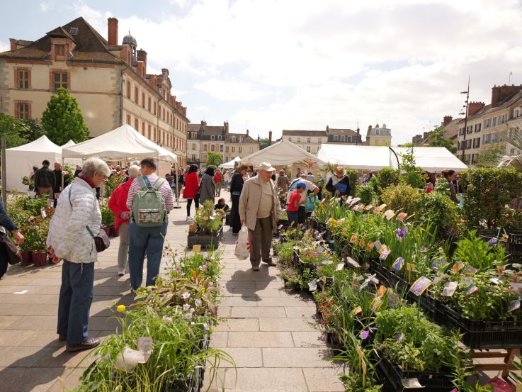 Julien Gondard, maire de Fontainebleau (77) : " C'est une ville très famille "