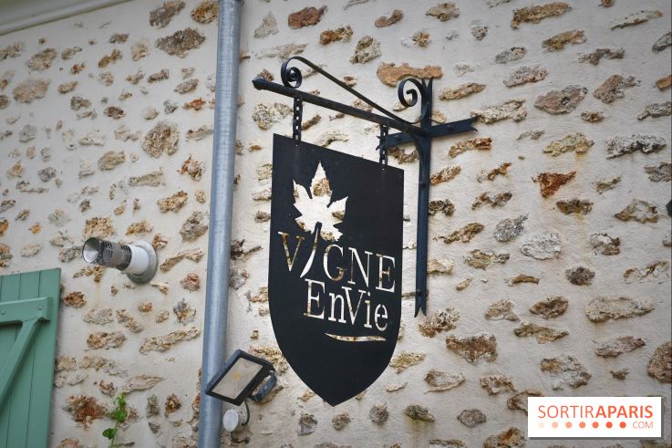 Domaine du bois brillant, la renaissance d'un vignoble historique en île-de-France