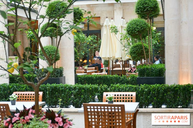 Café Jeanne : restaurant et belle terrasse au cœur du Park Hyatt Paris-Vendôme