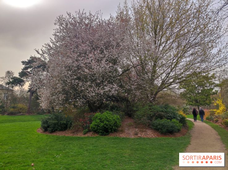 Connaissez-vous ce jardin primé, caché derrière le Château de Vincennes ? 