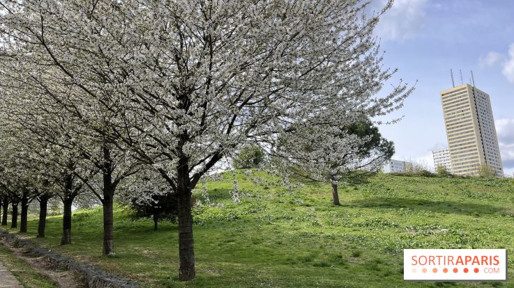 Du Tai Chi au Parc des Guilands (93) pour les Rendez-Vous aux Jardins 2026