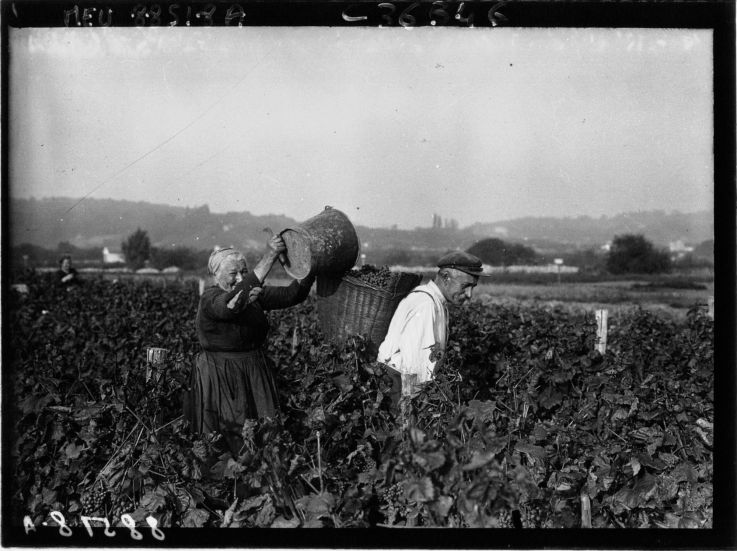 Cette ville aux portes de Paris était autrefois l'un des vignobles les plus prolifiques de la région !