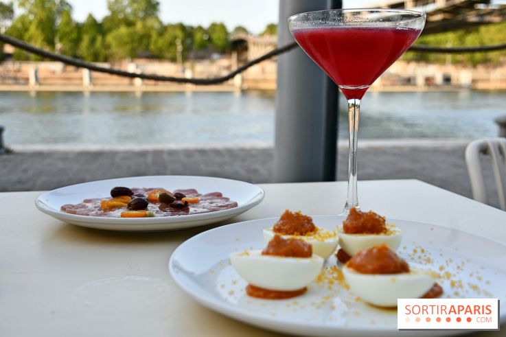 Entrées plat/form quai de seine terrasse 2026
