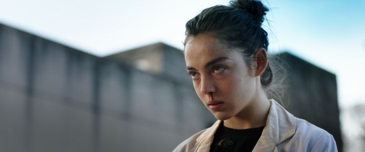 Grave : Et l'agneau devint le loup