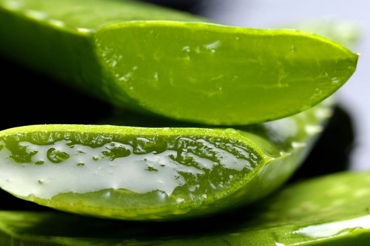Les produits de beauté de l'été : Le Gel d'Aloe Vera
