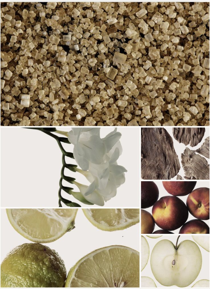 Alchemist Atelier : créez vos parfums sur-mesure à Paris