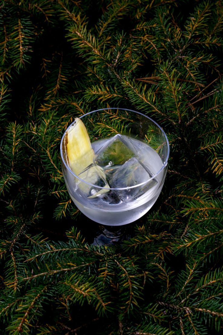 Insolite : 11 recettes de cocktails au caviar à tester chez soi