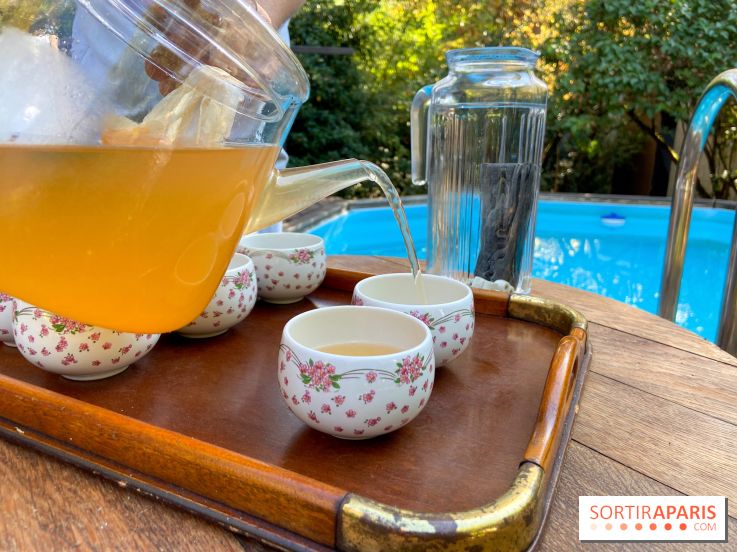 La Maison des Marronniers un lieu de retraite yoga idyllique et gourmand à portée de navigo