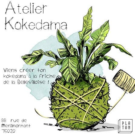Créez votre kokedama au 88 rue Ménilmontant