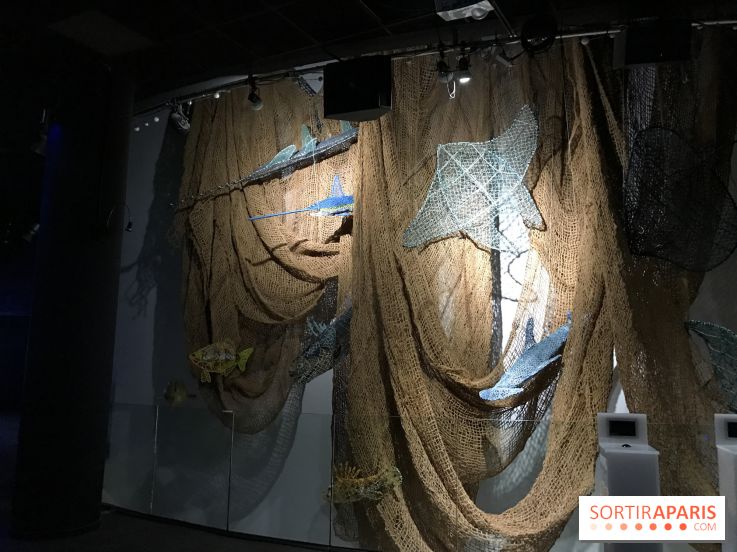 Les récifs Coralliens s'exposent à l'Aquarium de Paris