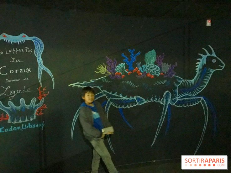 Les récifs Coraliens s'exposent à l'Aquarium de Paris