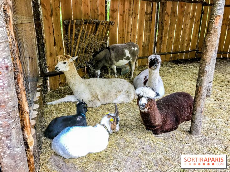 Aventure Floréval, le parcours en pleine nature