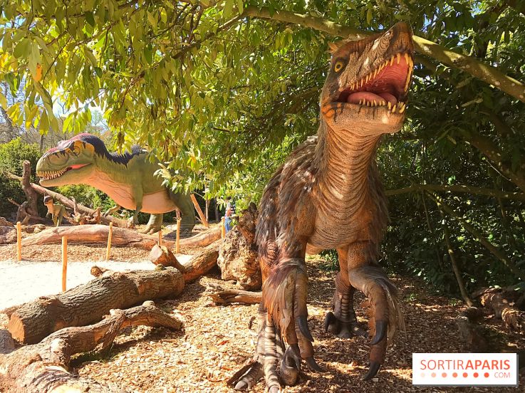 DinoZOOre II au Zoo de Thoiry, album 2