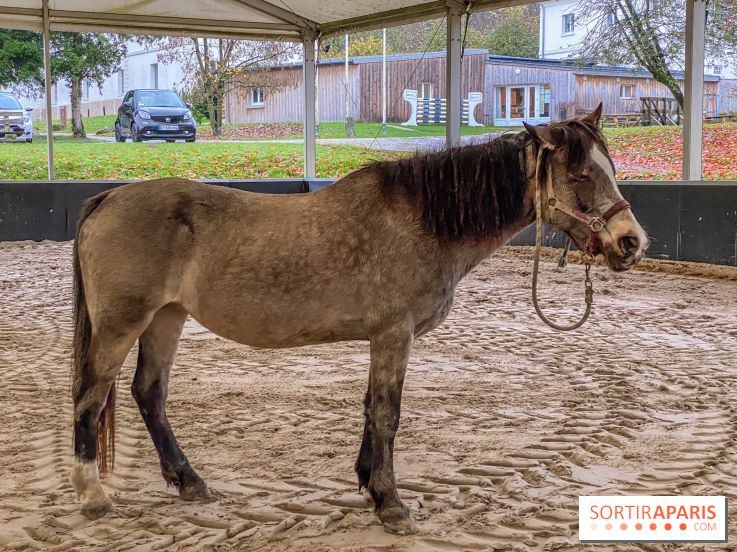 Domaine de Maffliers : notre test de l'escapade champêtre et équestre by Demeures de Campagne