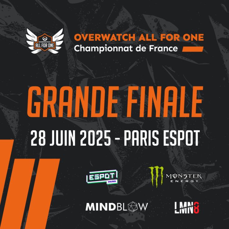 Overwatch All For One 2025 : la finale du championnat de France à Espot