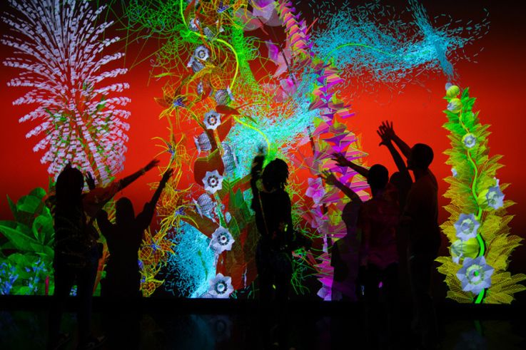 Pixels Botaniques : l'exposition numérique de Miguel Chevalier au Musée de la Seine-et-Marne