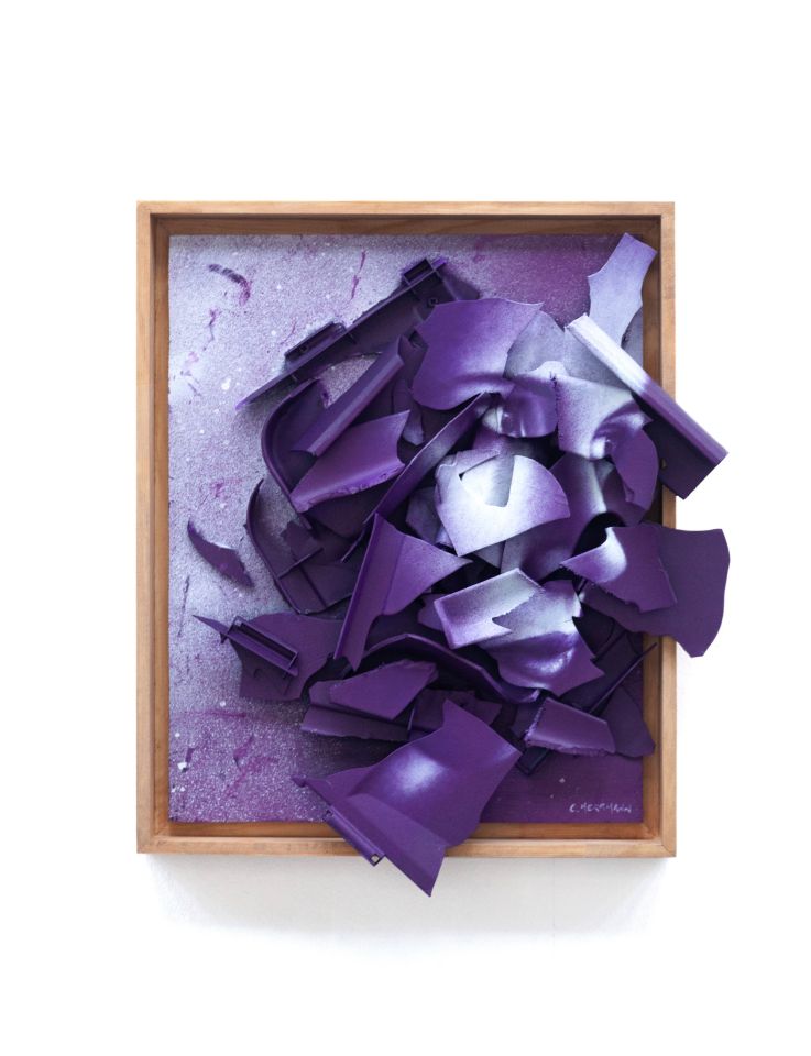 Expositon "Éclats de vie" de Clément Herrmann à la galerie Le Cabinet d'amateur