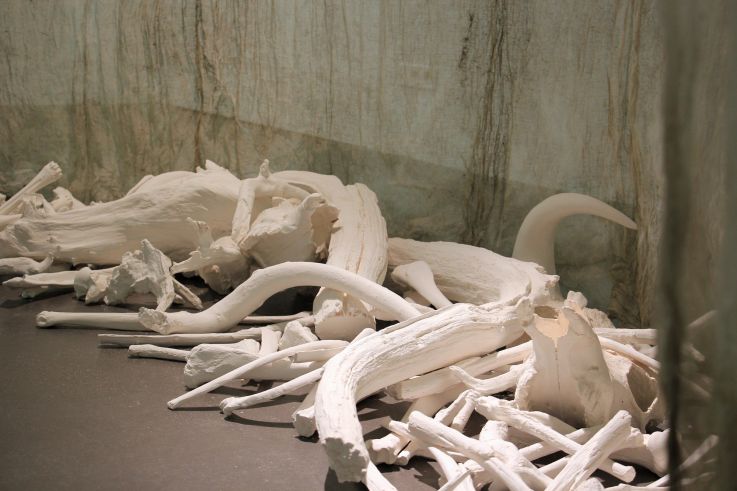 Récits de forêts : l’exposition de Lélia Demoisy au Domaine de Chamarande