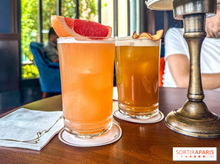 The Regal View Lounge à Disneyland Paris : le bar royal avec vue sur Adventure Bay, notre avis