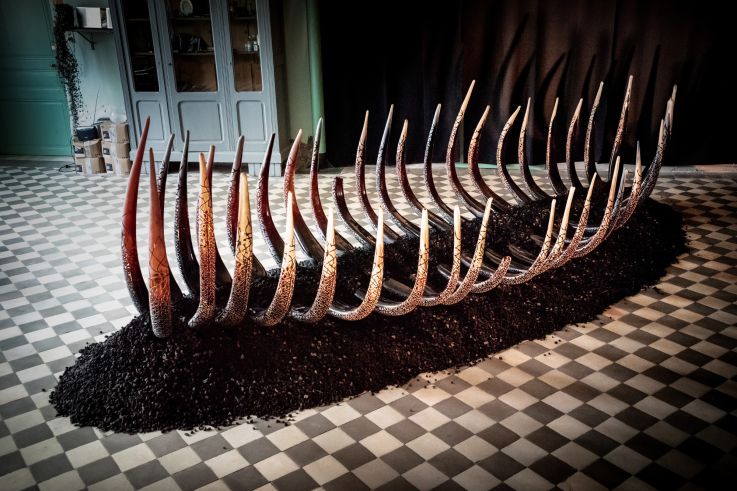 Migrations, l'installation d'Antoine Brodin à la galerie Collection