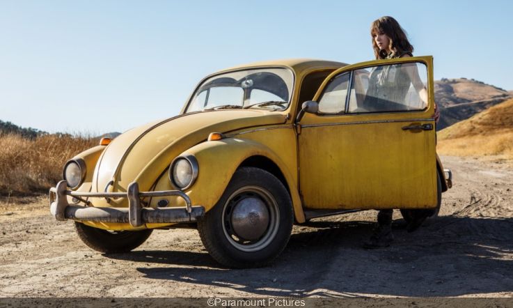 Bumblebee: Criticism and criticism