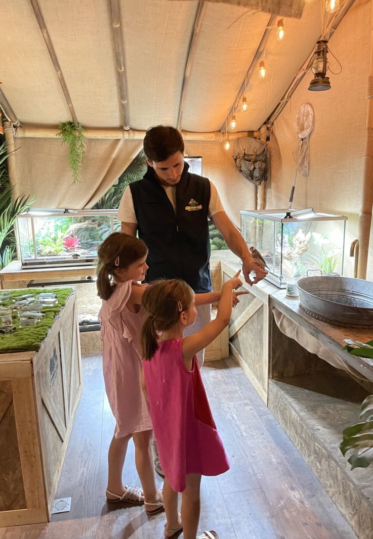 Le Monde de Noé : la première expérience immersive dans le monde animal à Paris