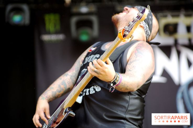 Download Festival 2017 à Paris : les photos - Suicidal Tendencies