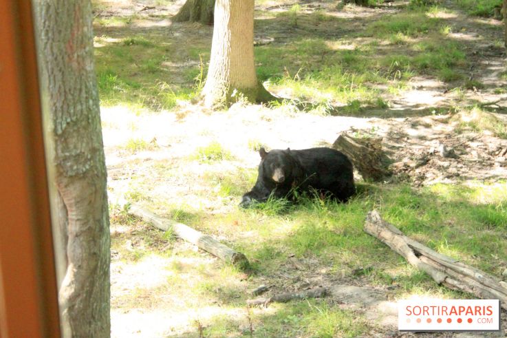 Camion Safari : une visite guidée dans les coulisses de Thoiry